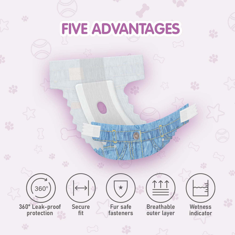 COCOYO attaches réajustables visibles protégeant le pelage et facilitant l’ajustement