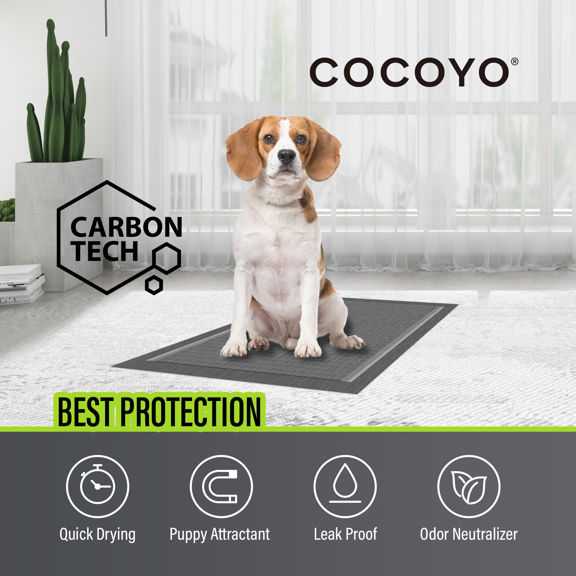 COCOYO gros plan de la surface au charbon montrant camouflage des taches