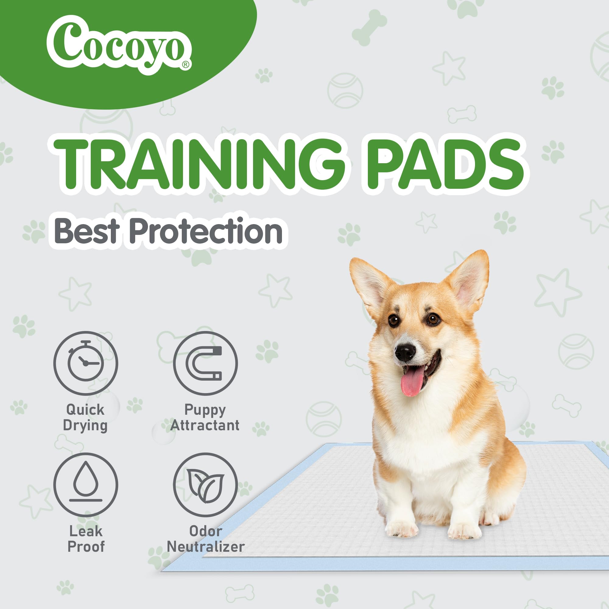 COCOYO tapis placé dans une caisse, maintien propre et hygiénique