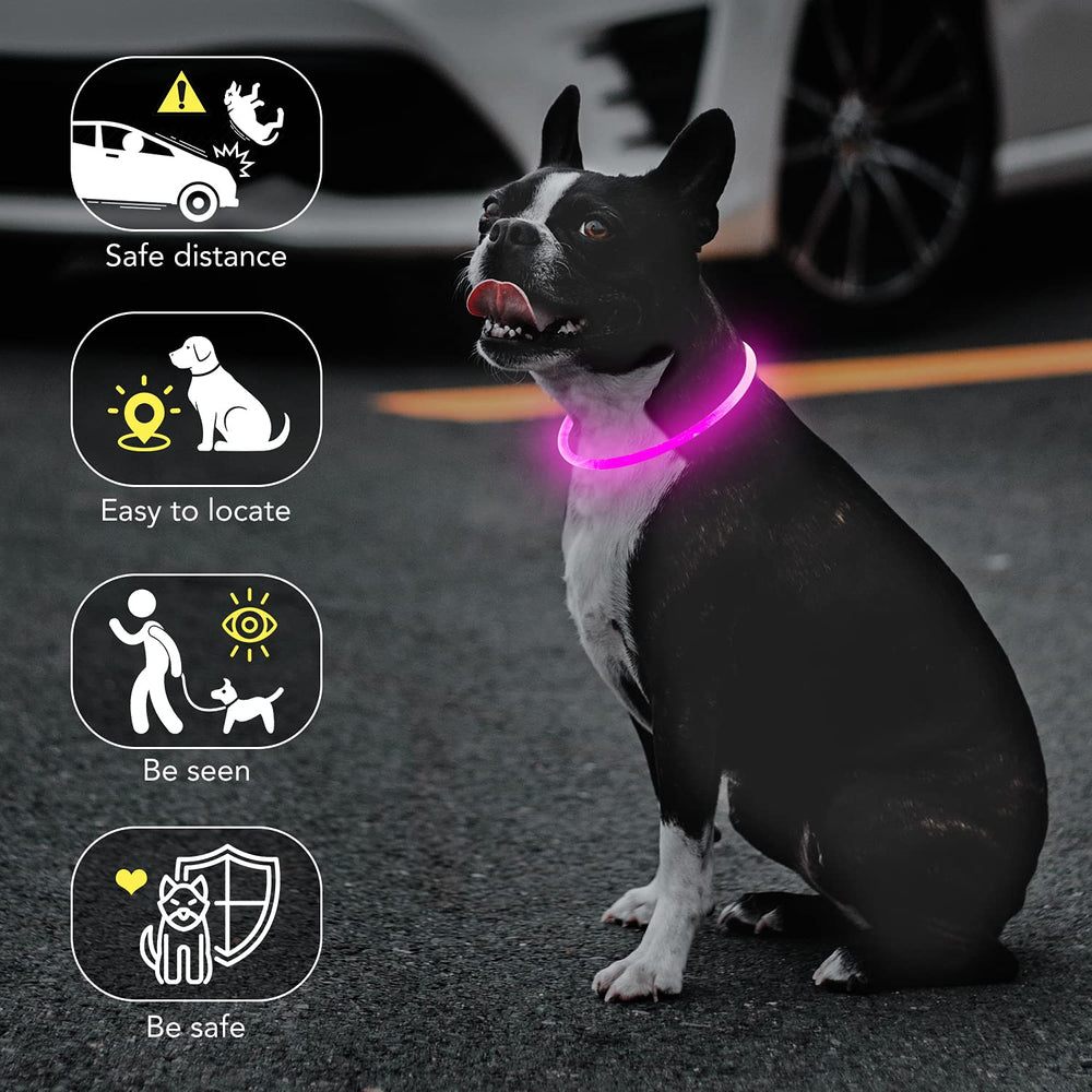 Colaseeme collier porté la nuit augmentant visibilité du chien