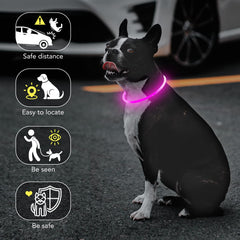 Colaseeme collier porté la nuit augmentant visibilité du chien