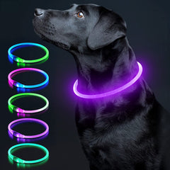 Colaseeme collier lumineux violet vue avant pour meilleure visibilité