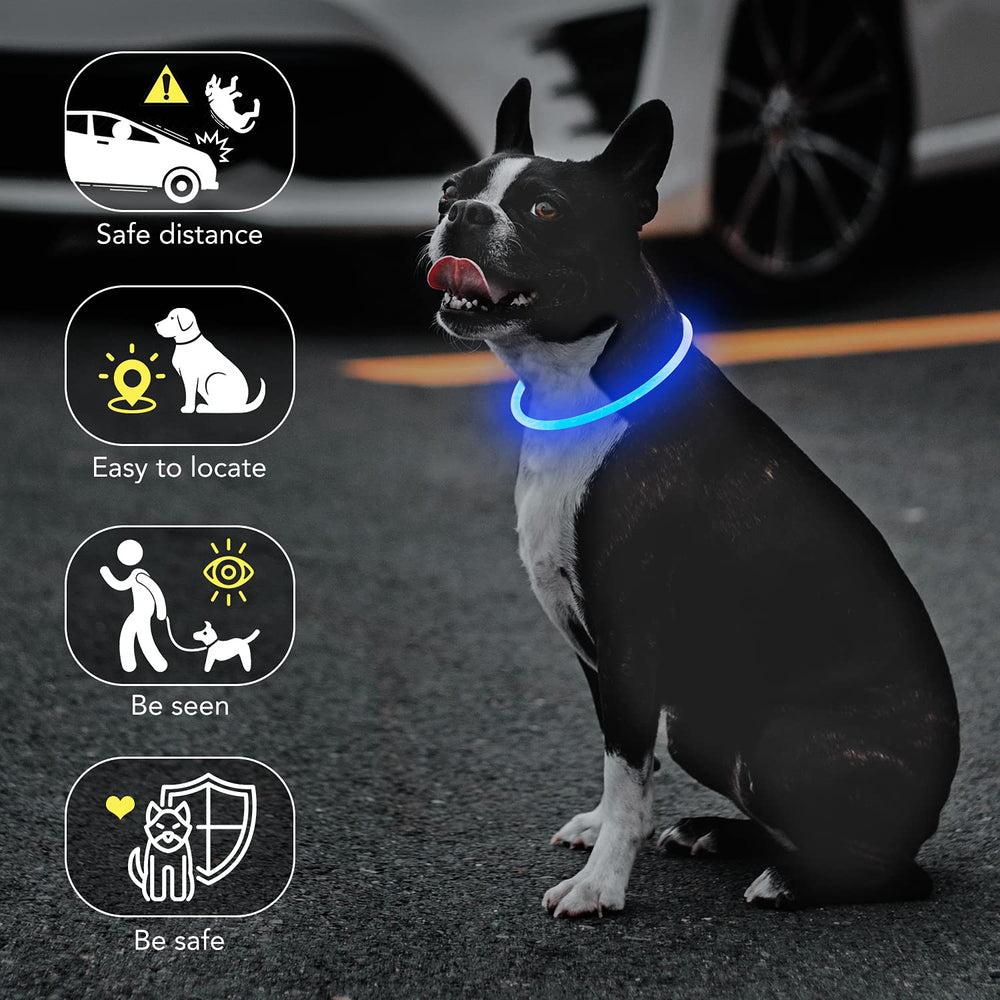 Colaseeme collier en usage lors d'une promenade nocturne pour tranquillité