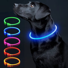 Colaseeme collier lumineux front packaging montrant sécurité nocturne
