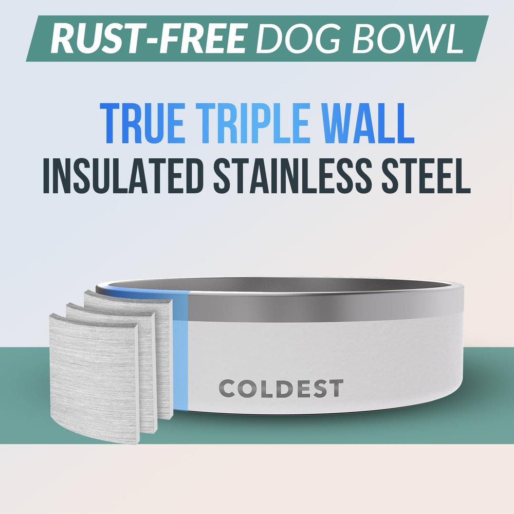 Coldest Dog Bowl base antidérapante assurant stabilité et réduction des renversements
