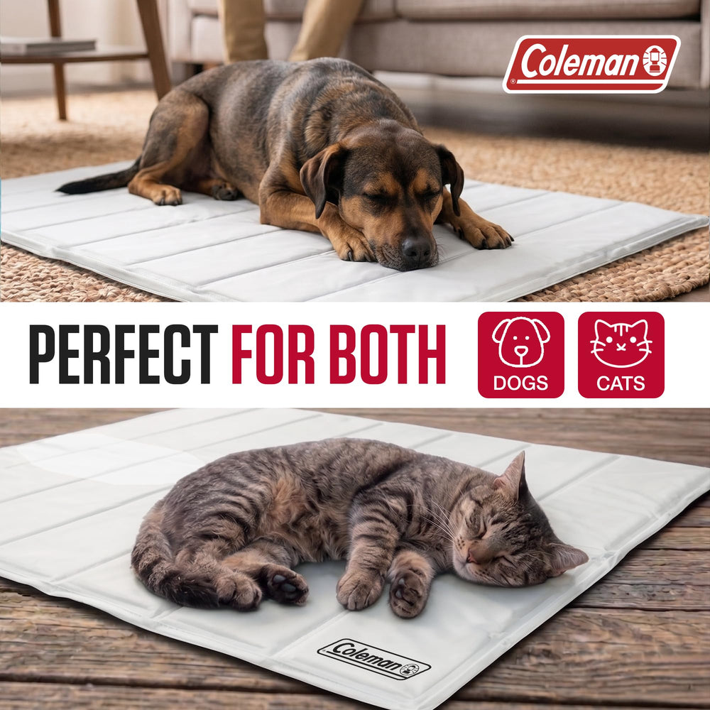 Coleman posé dans voiture gardant animal frais lors des trajets