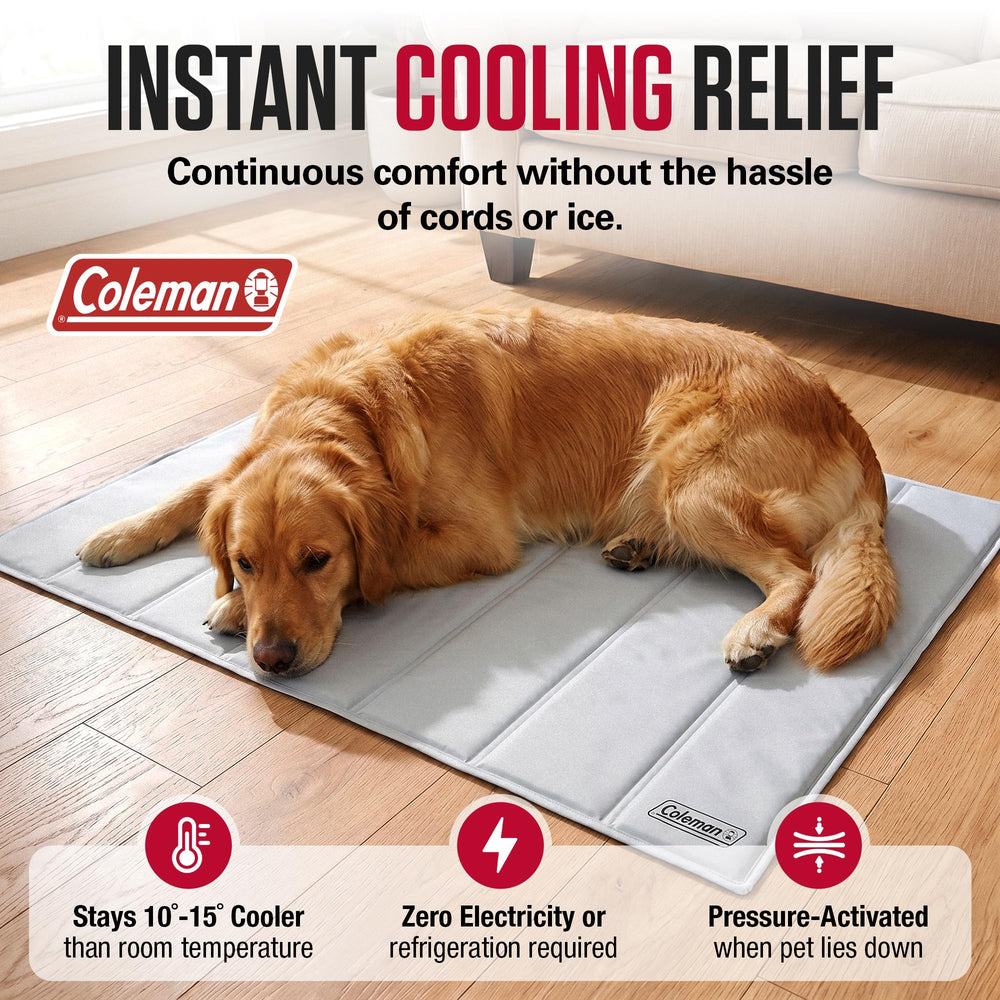 Coleman en usage avec chien allongé offrant refroidissement immédiat