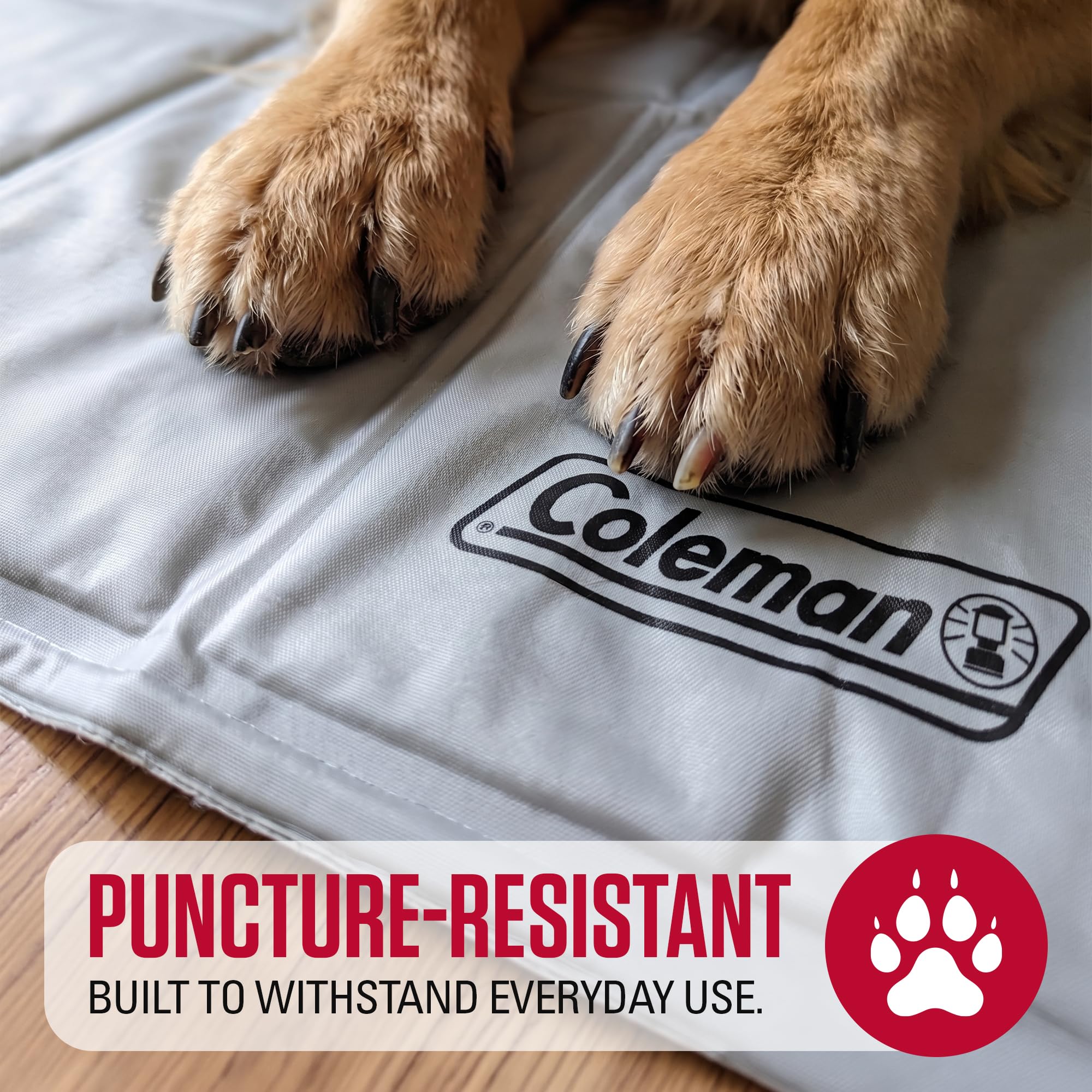 Coleman détail coin montrant couture solide pour durabilité accrue
