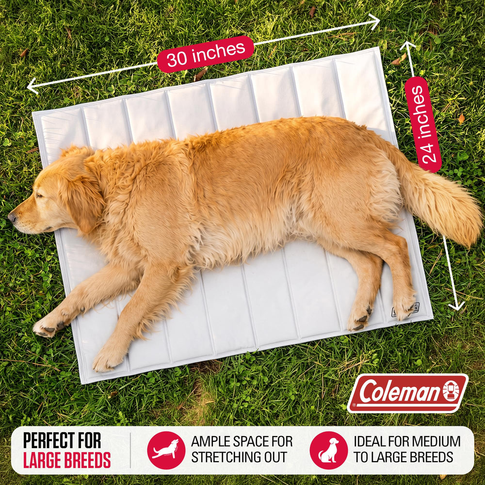 Coleman affichage taille 24x30 pouces pour visualiser échelle réelle