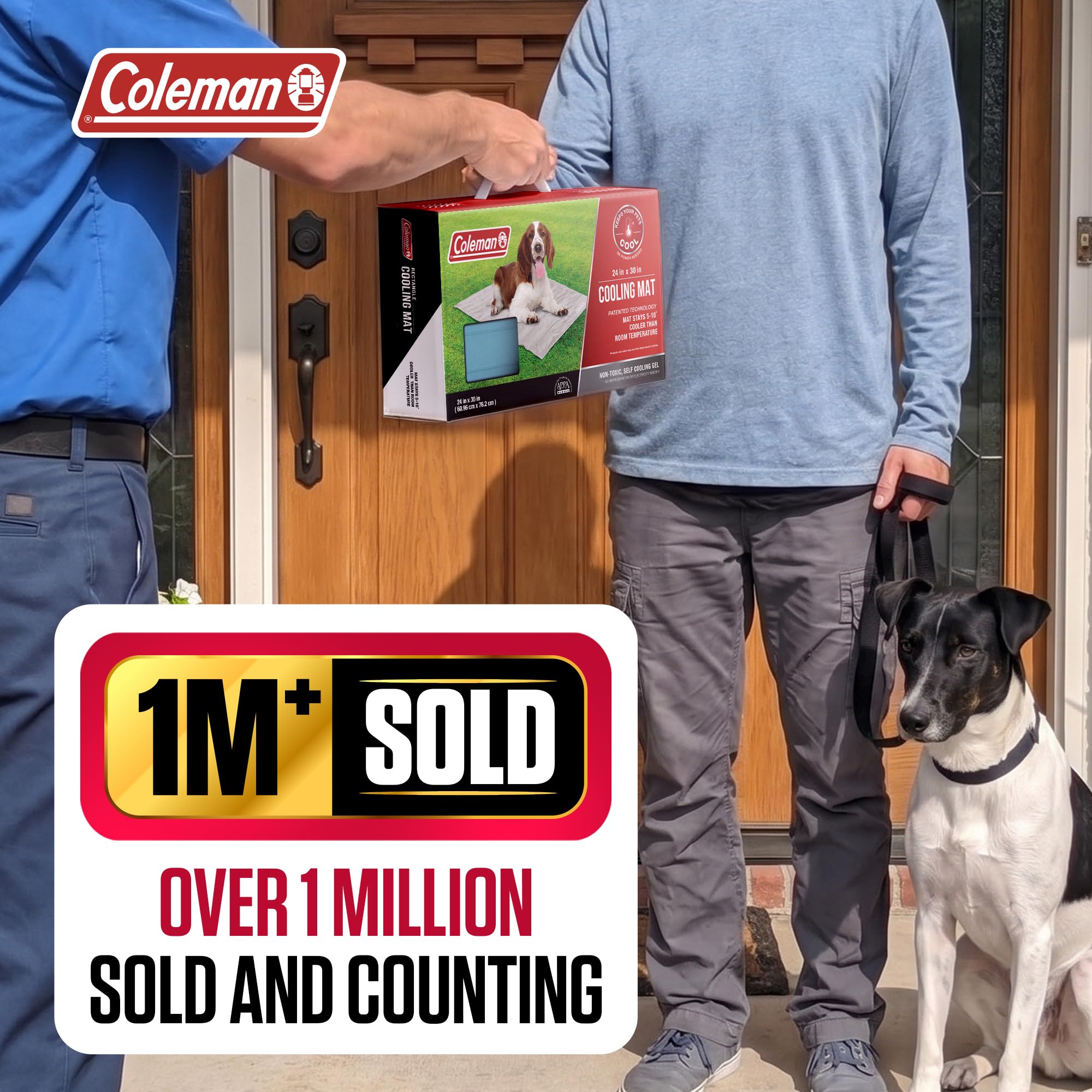 Coleman ambiance salon montrant détente fraîche pour animaux
