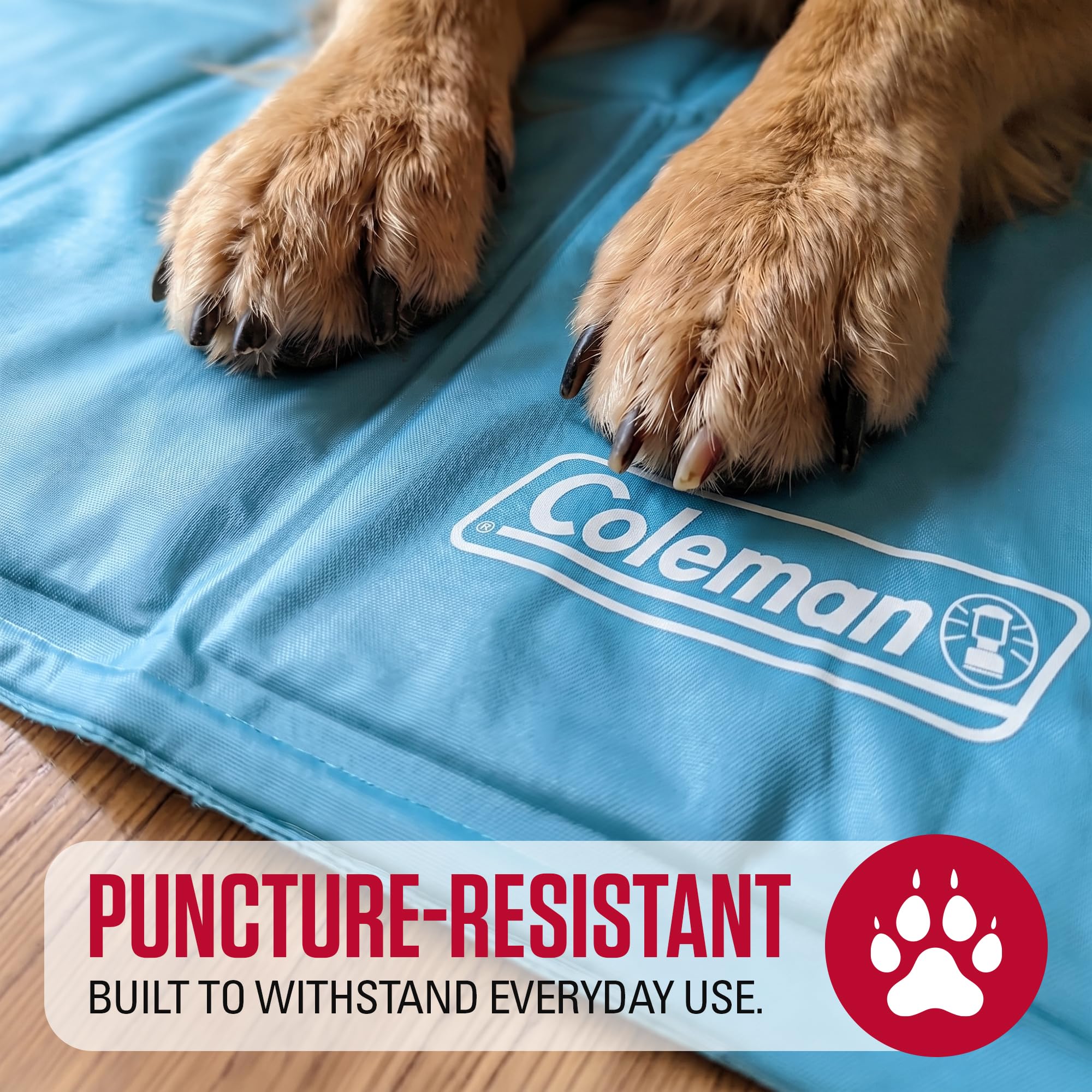 Coleman nettoyage facile du tapis avec chiffon humide pour hygiène