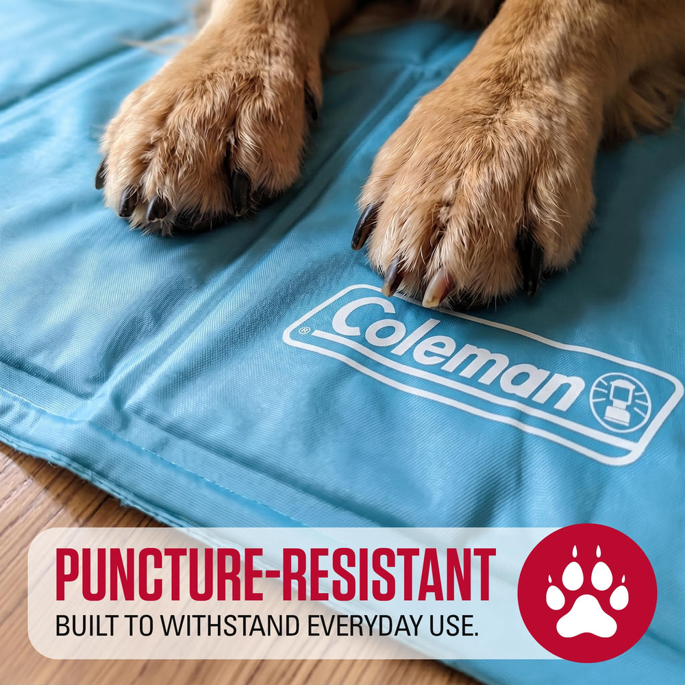 Coleman nettoyage facile du tapis avec chiffon humide pour hygiène