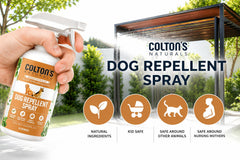Colton's Naturals spray en usage sur pelouse protégeant les parterres