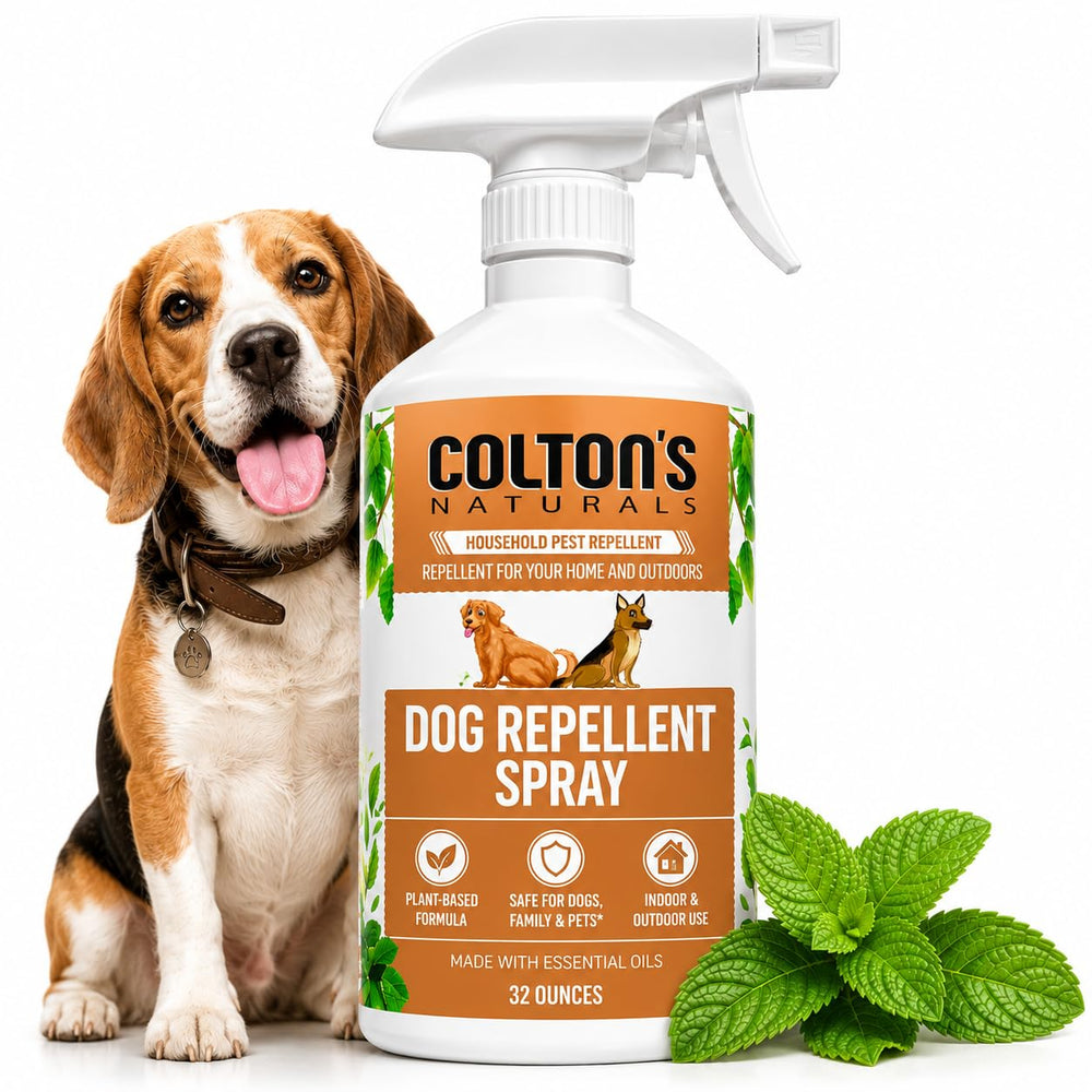 Colton's Naturals flacon avant montrant l'étiquette et la contenance pratique