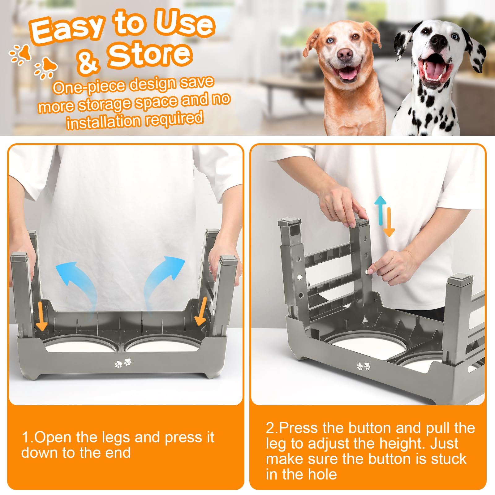 COMESOON échelle de tailles montre compatibilité chiens variés