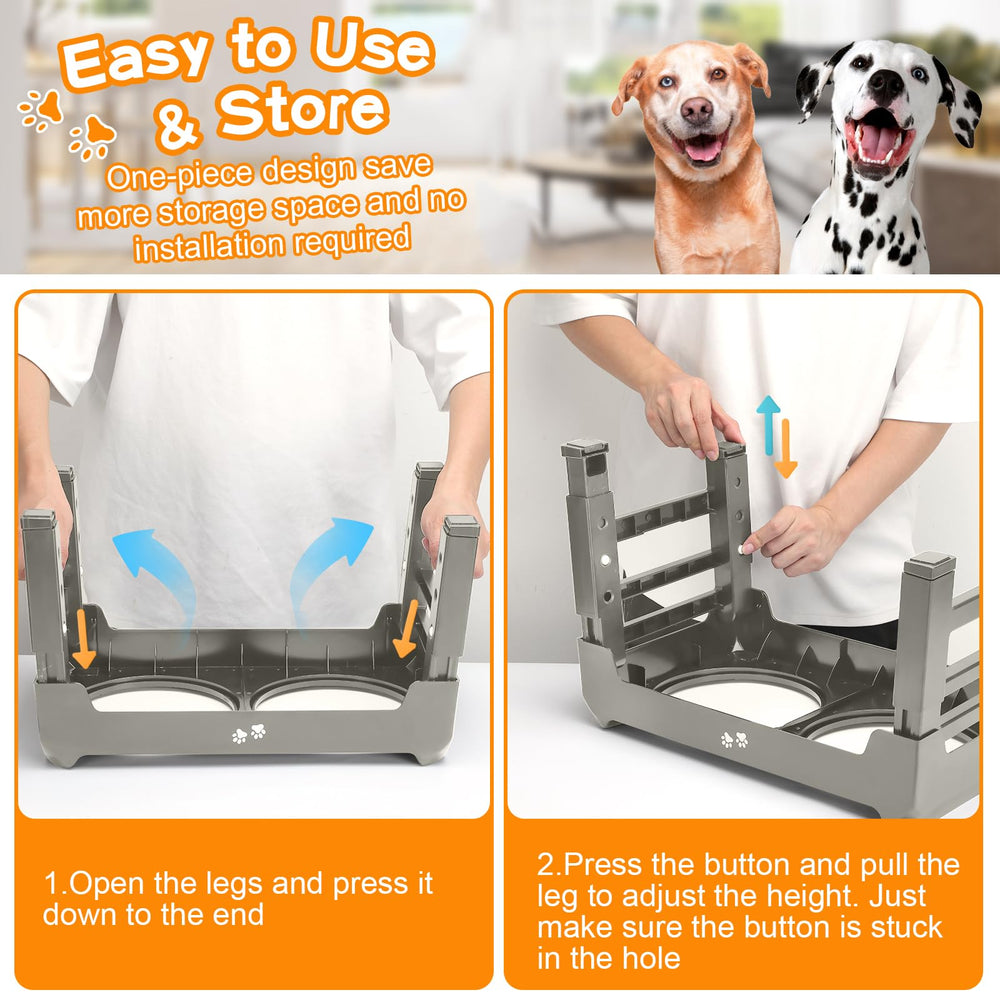 COMESOON échelle de tailles montre compatibilité chiens variés