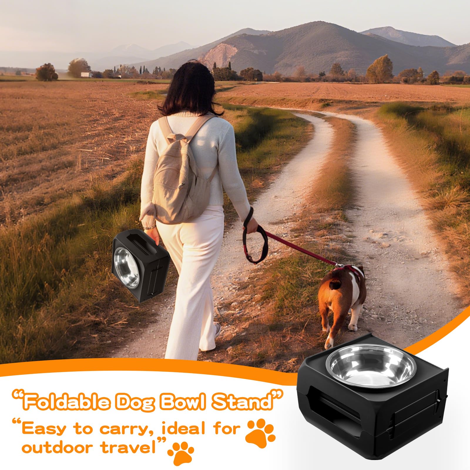 COMESOON comparaison taille pour visualiser proportions avec chien