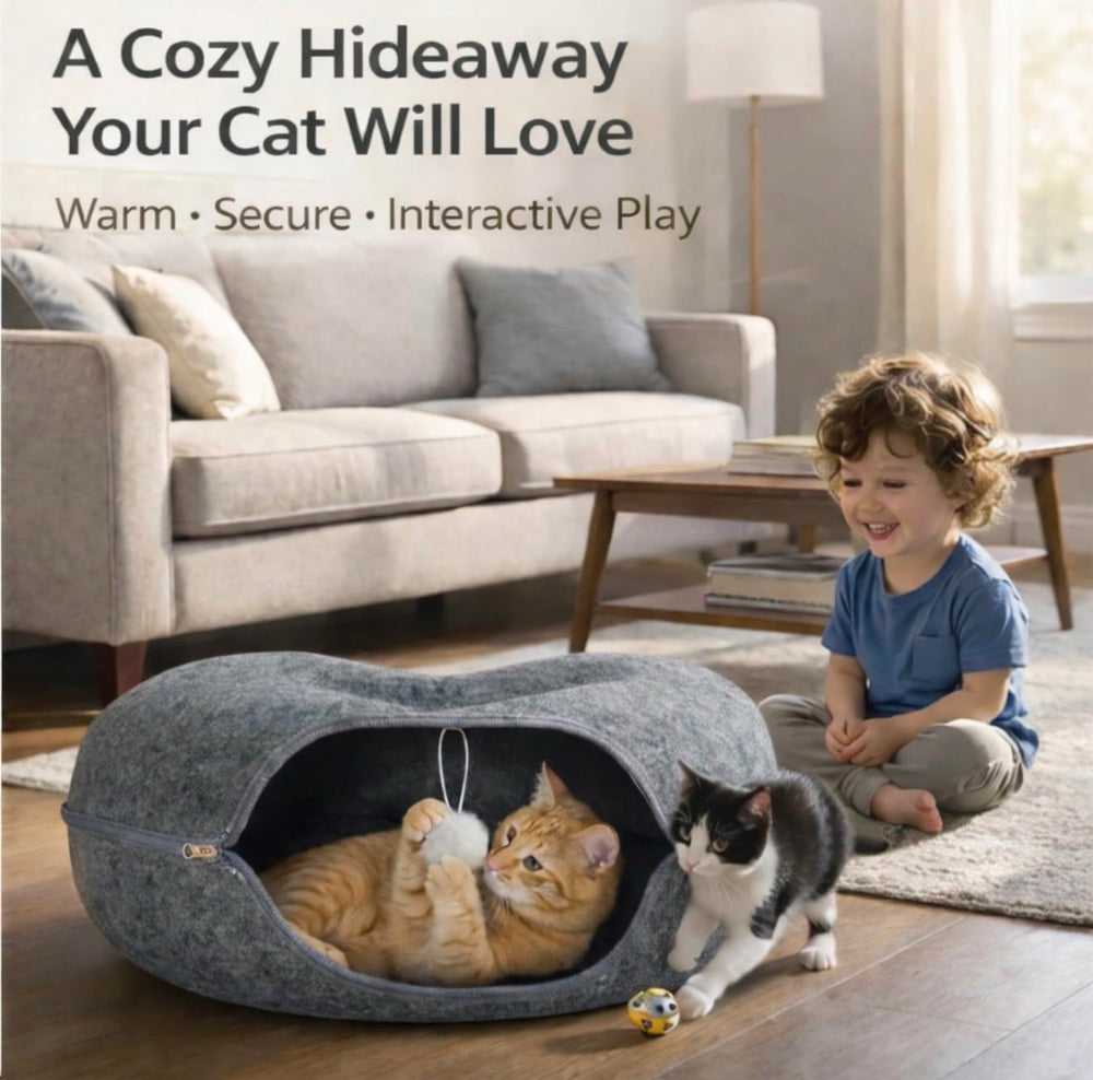 Comfort Bedz intérieur montrant le pompon suspendu pour jeu
