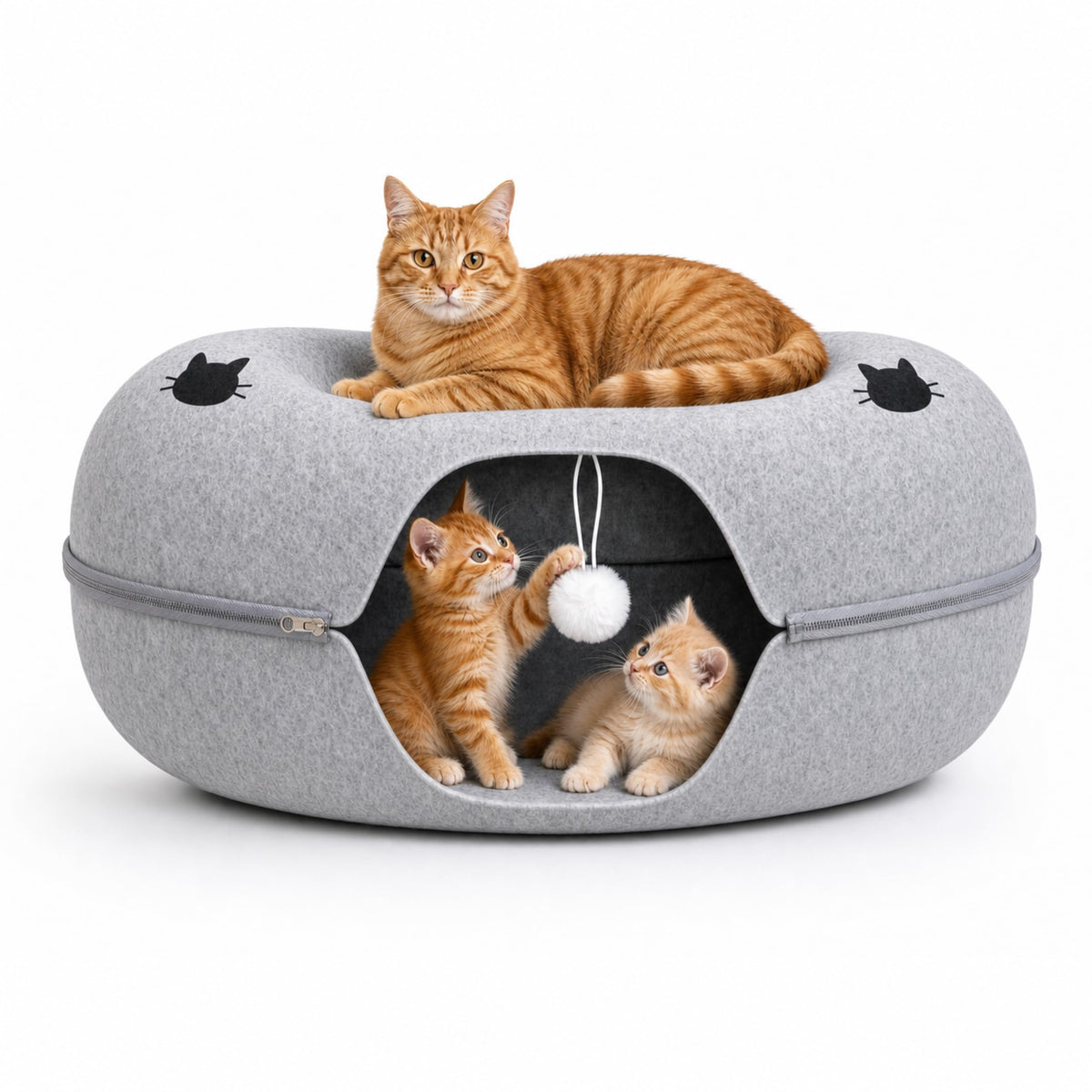 Comfort Bedz vue avant du tunnel, design accueillant pour repos