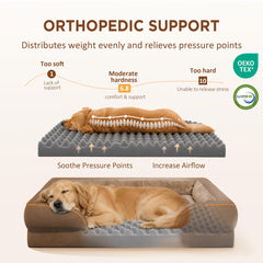 Comfort Expression mousse egg‑crate close‑up montrant soutien ergonomique et confort