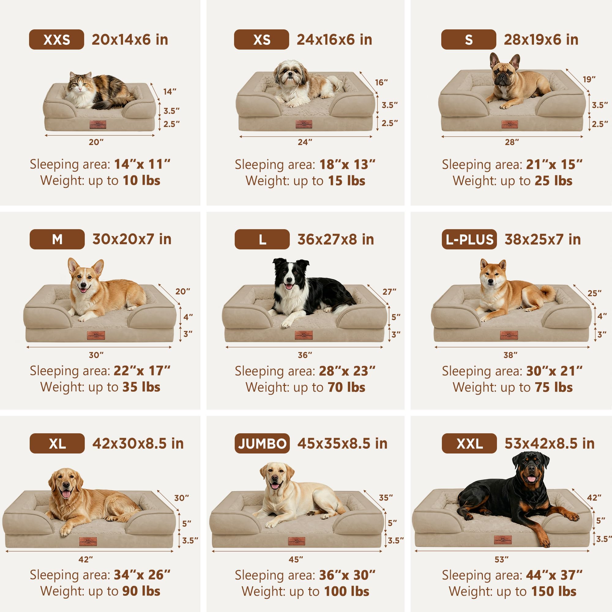 Comfort Expression comparaison d'échelle montrant dimensions adaptées aux grandes races