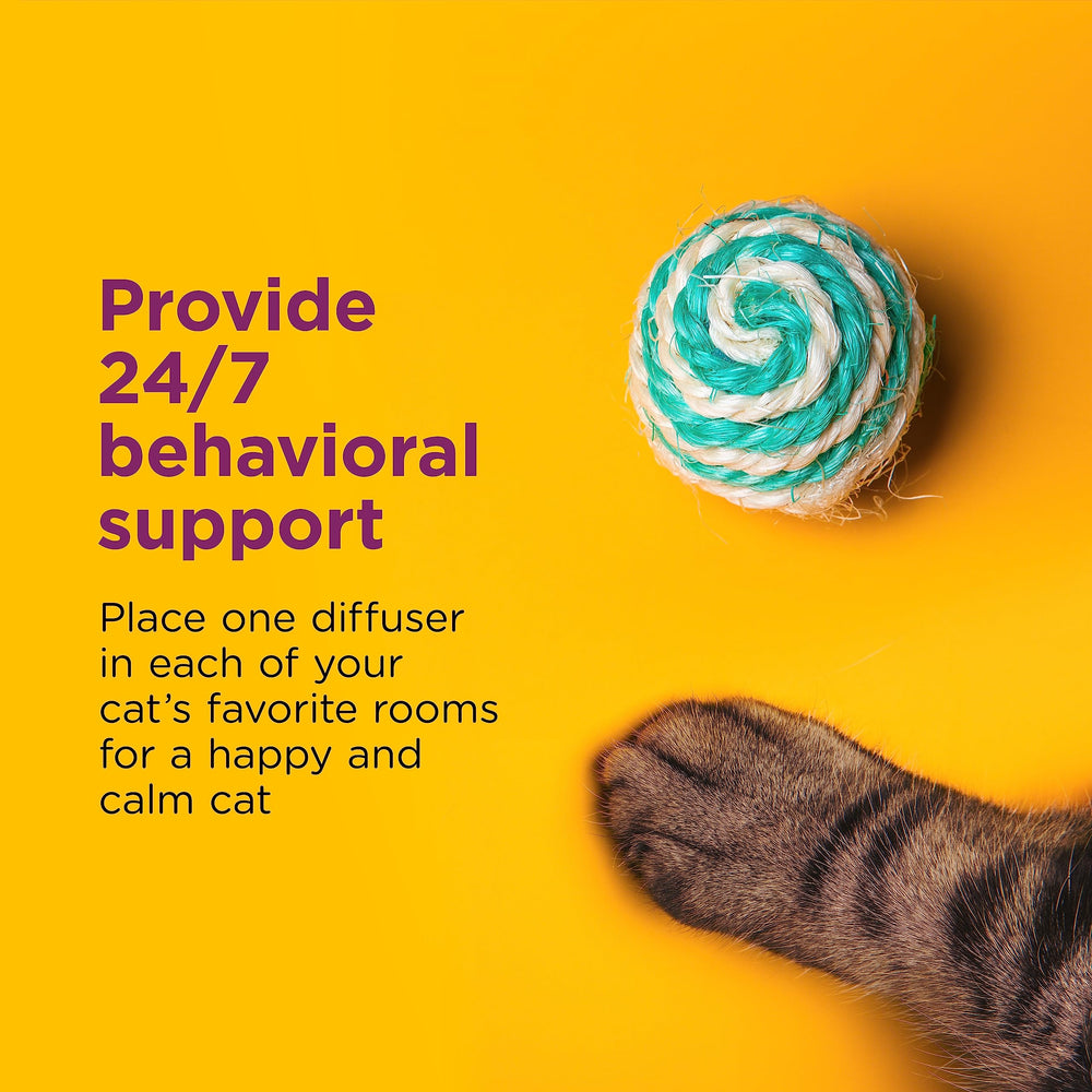 Comfort Zone mise en scène salon calme avec chat détendu, illustre réduction du stress