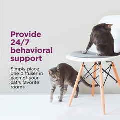 Comfort Zone comparaison taille avec ruban mesurant espace d’installation approprié