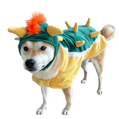ComfyCamper costume chien porté, confortable et mignon pour photos festives