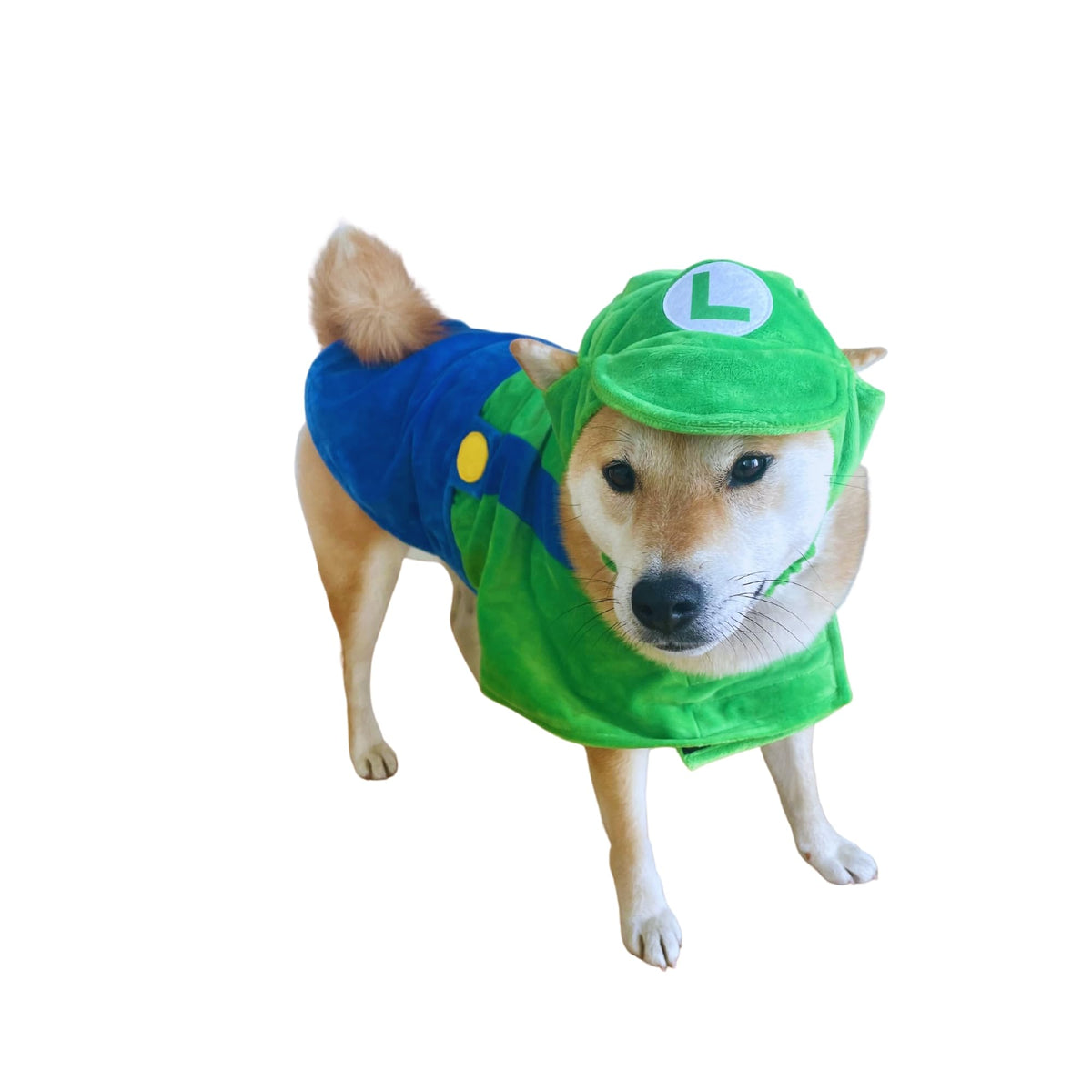 ComfyCamper vue devant du costume vert montrant l'apparence festive et ajustée