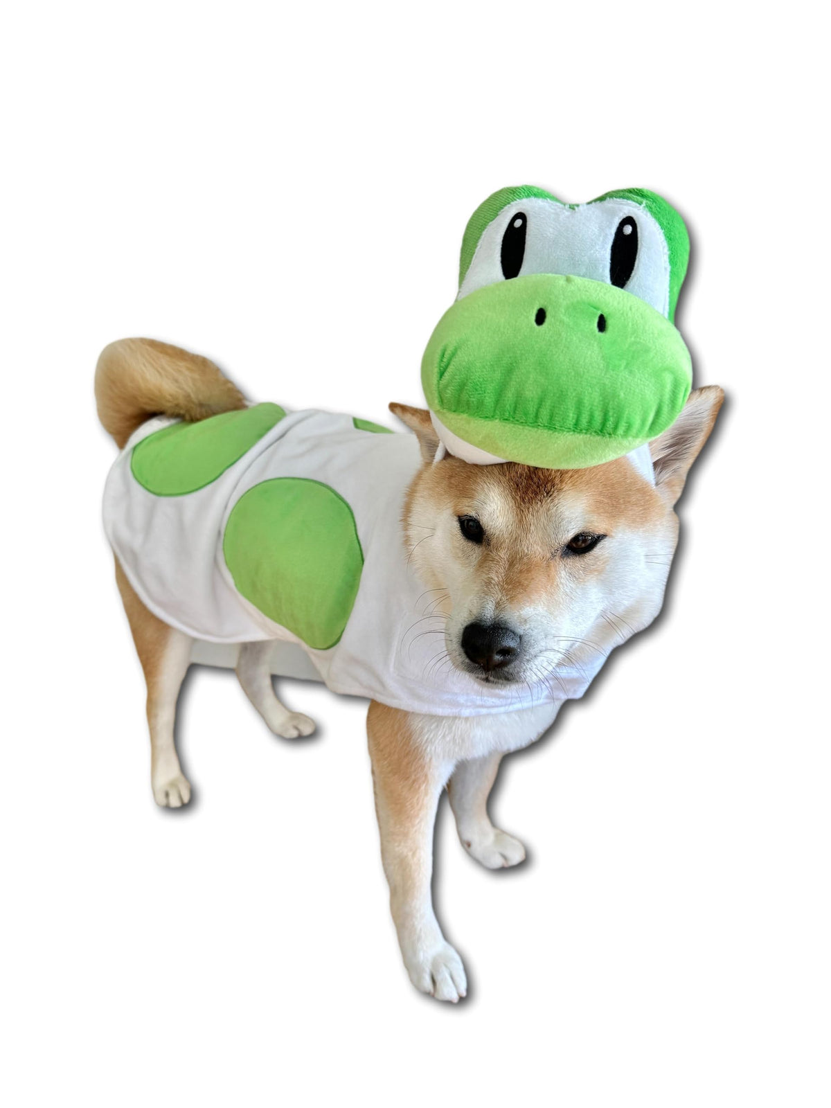 ComfyCamper cagoule et cape dino portée, look mignon et maintien confortable
