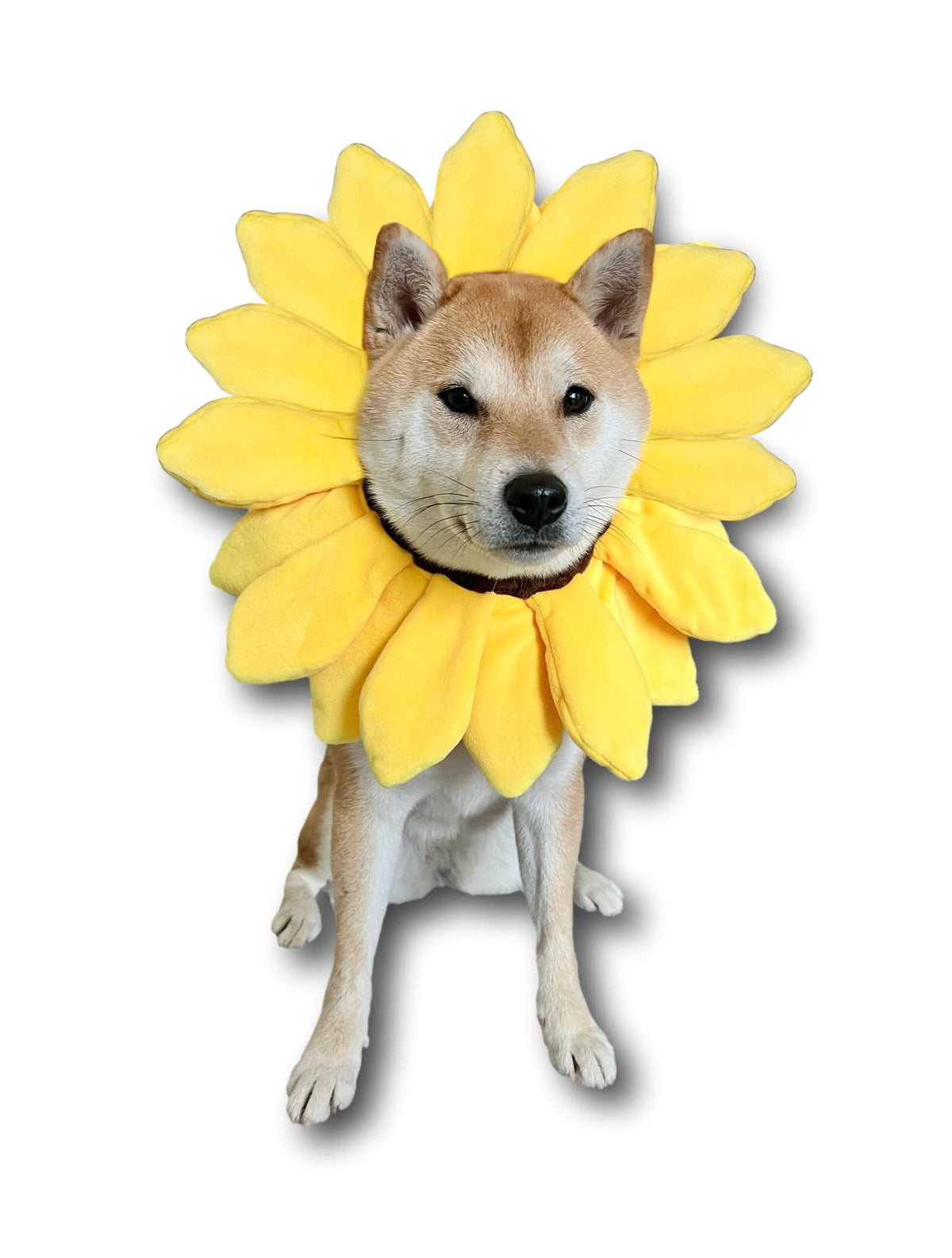 ComfyCamper coiffe tournesol portée montrant une pose photogénique