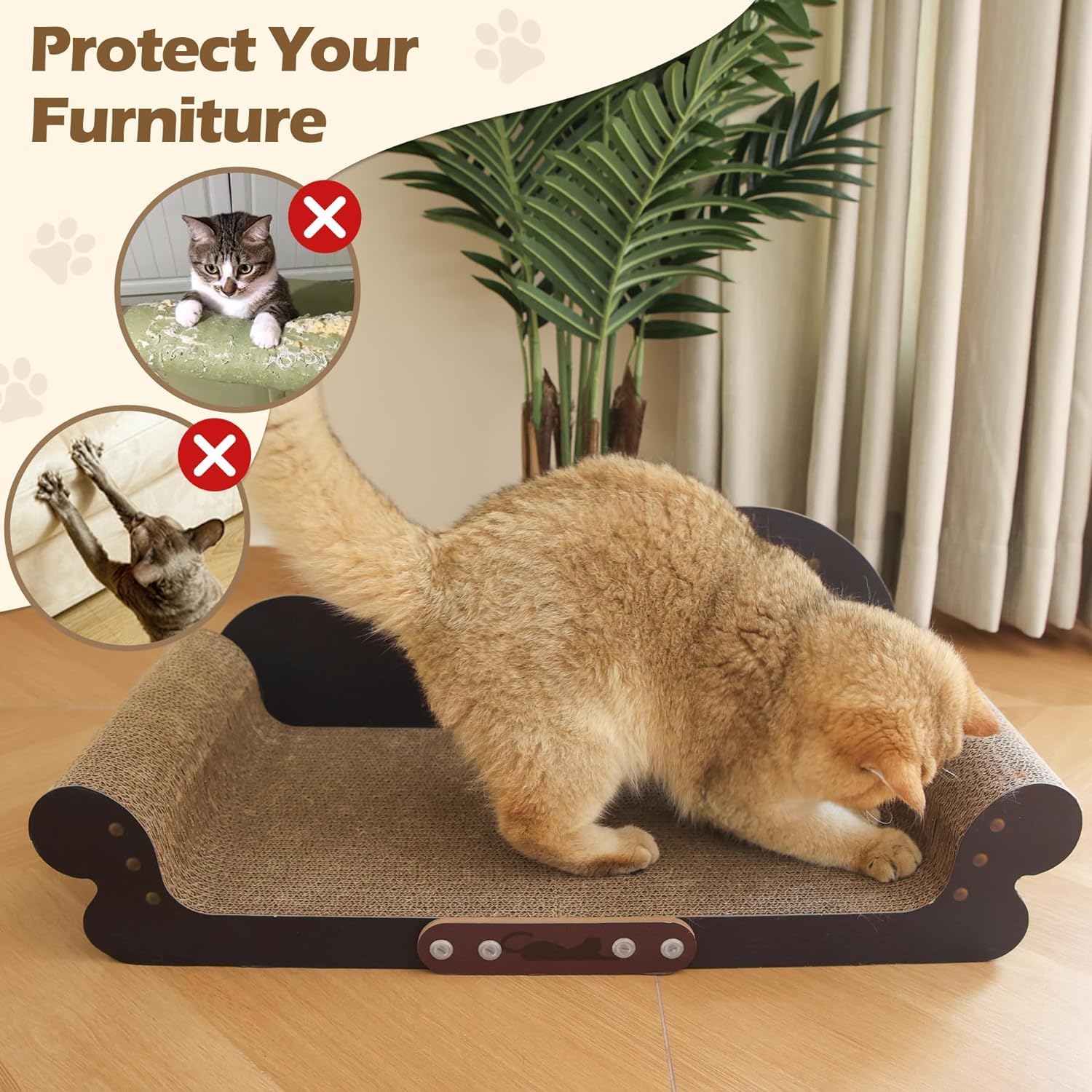 ComSaf comparaison taille avec chat montrant espace pour étirement