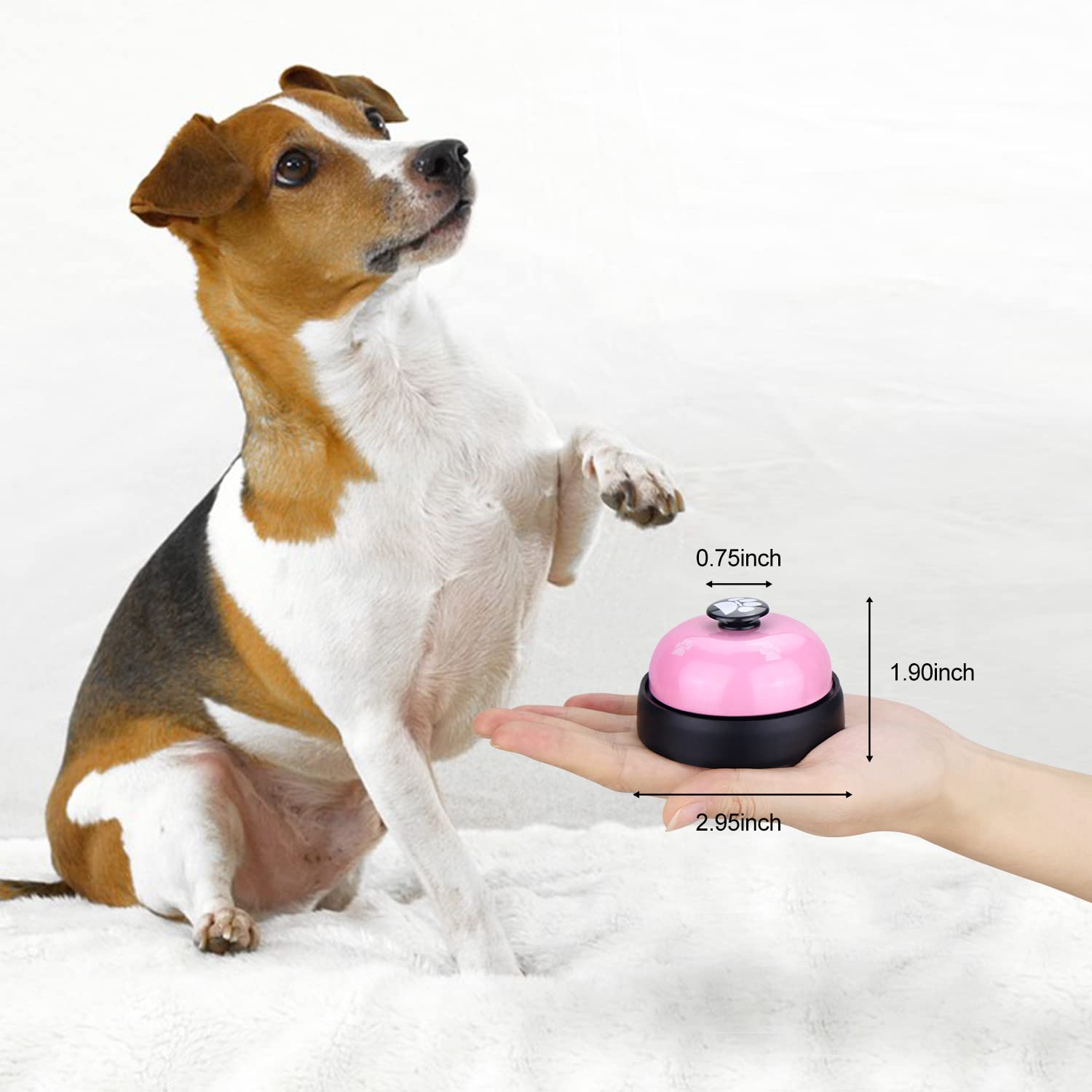 Comsmart cloche en usage par un chiot renforçant la communication