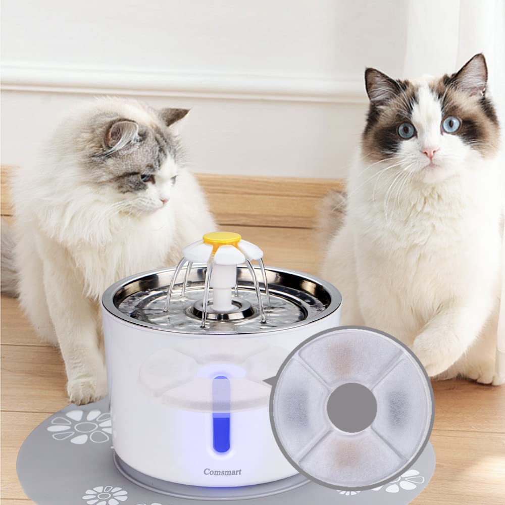 Comsmart fontaine en situation domestique encourageant la consommation