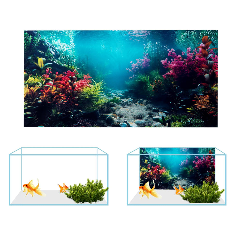 COMSUN fond posé dans un aquarium montrant profondeur décorative