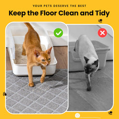 Conlun tapis en usage avec chat qui sort du bac pour confort visible