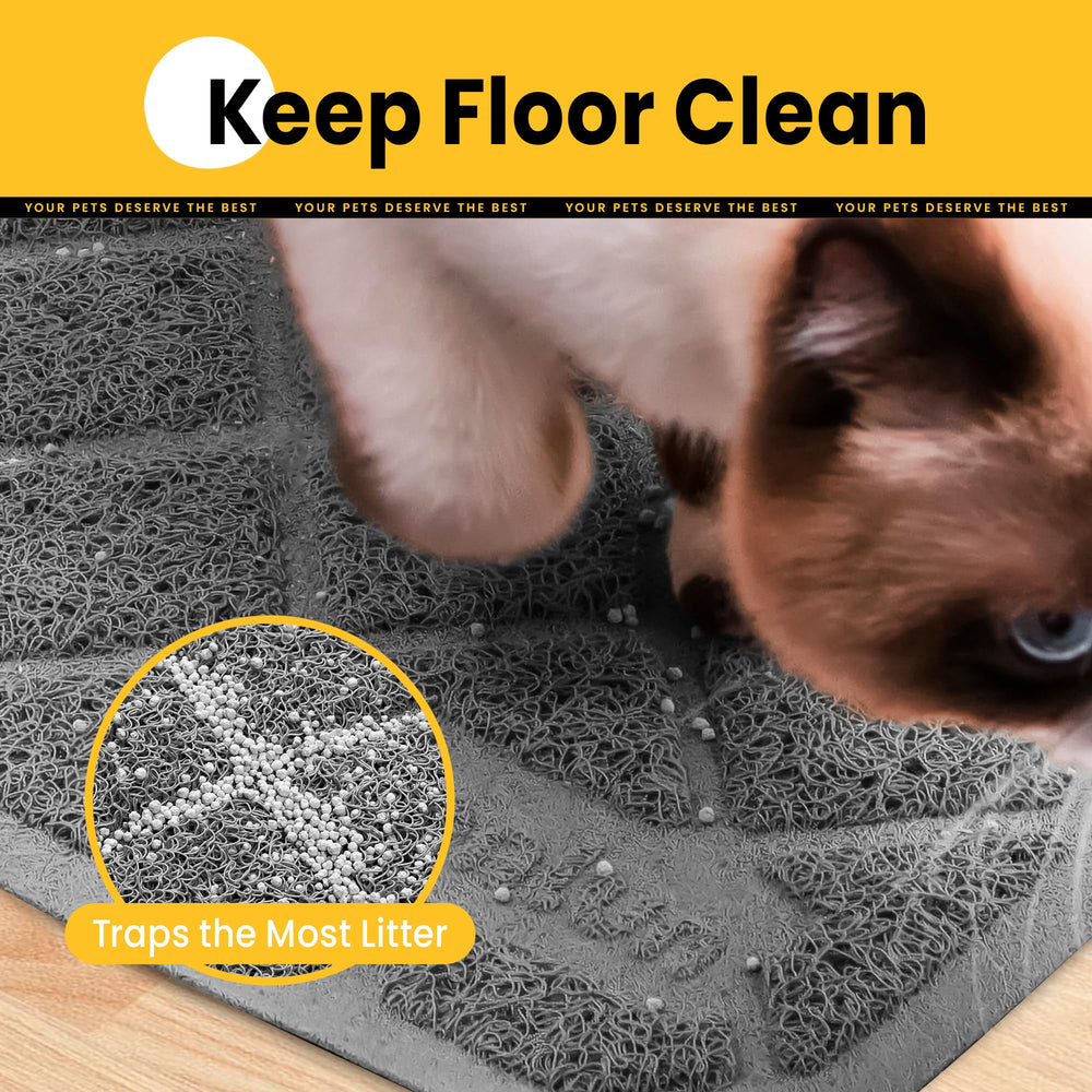 Conlun image d’un chat marchant sur le tapis pour confort des pattes
