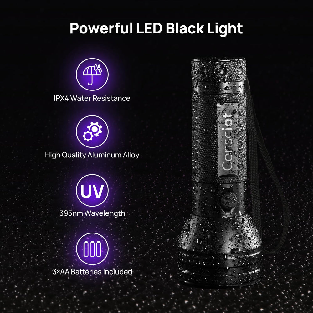Consciot lampe UV révélant tache d'urine sèche sur tapis