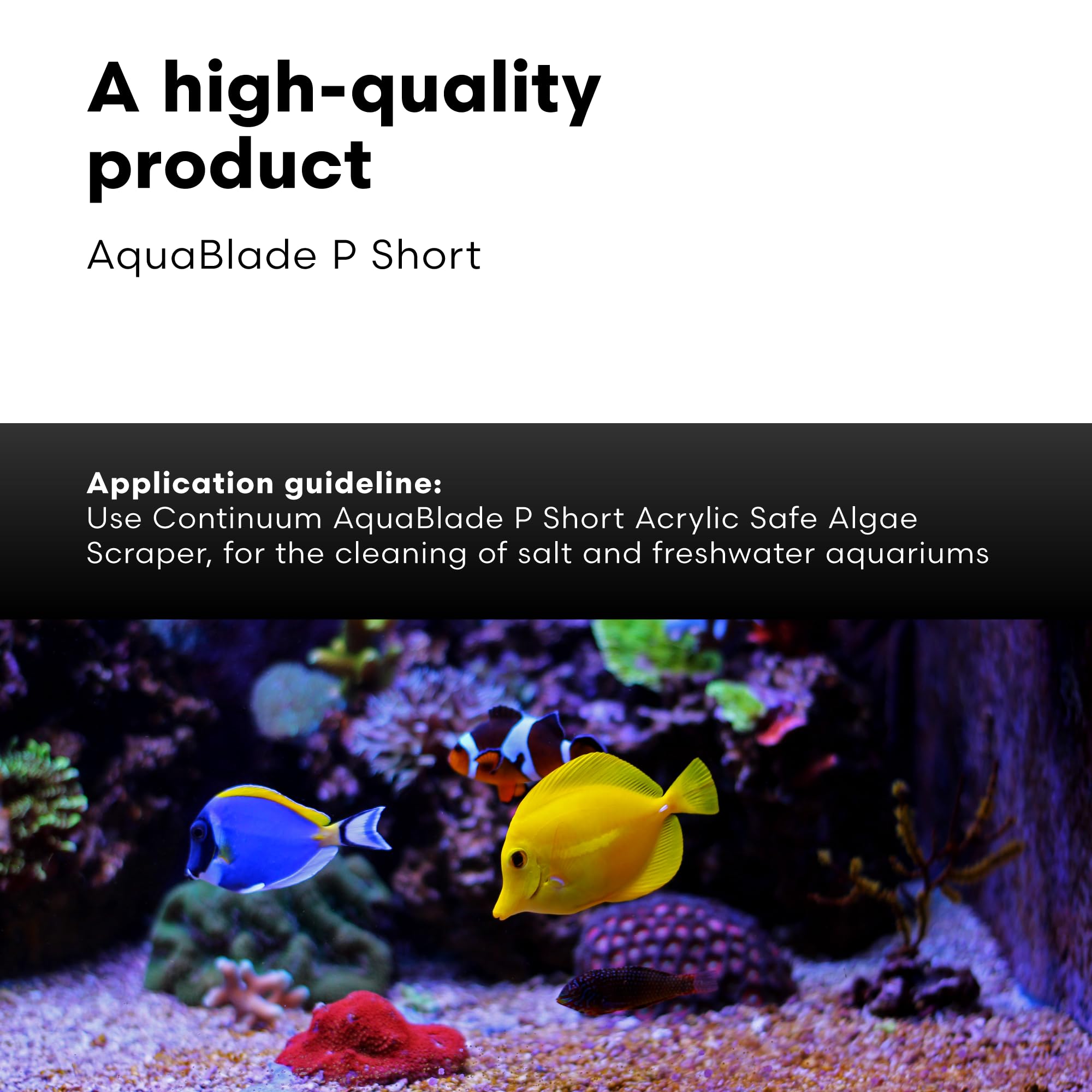 Continuum Aquatics comparaison de taille AquaBlade P indiquant échelle pratique