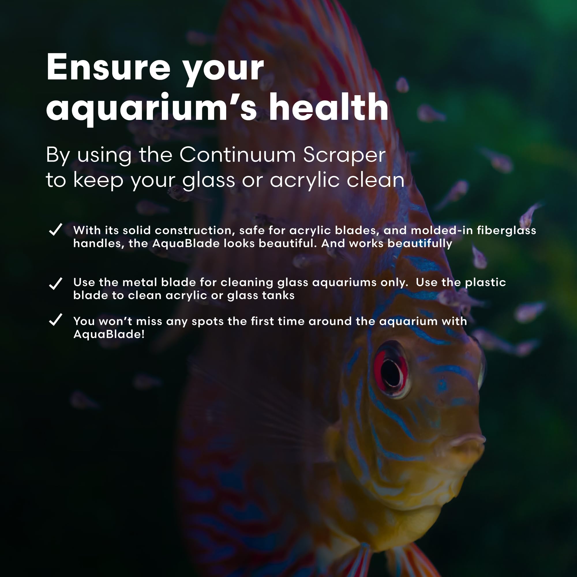Continuum Aquatics lame inox 316 en gros plan pour dépôts coriaces sur verre