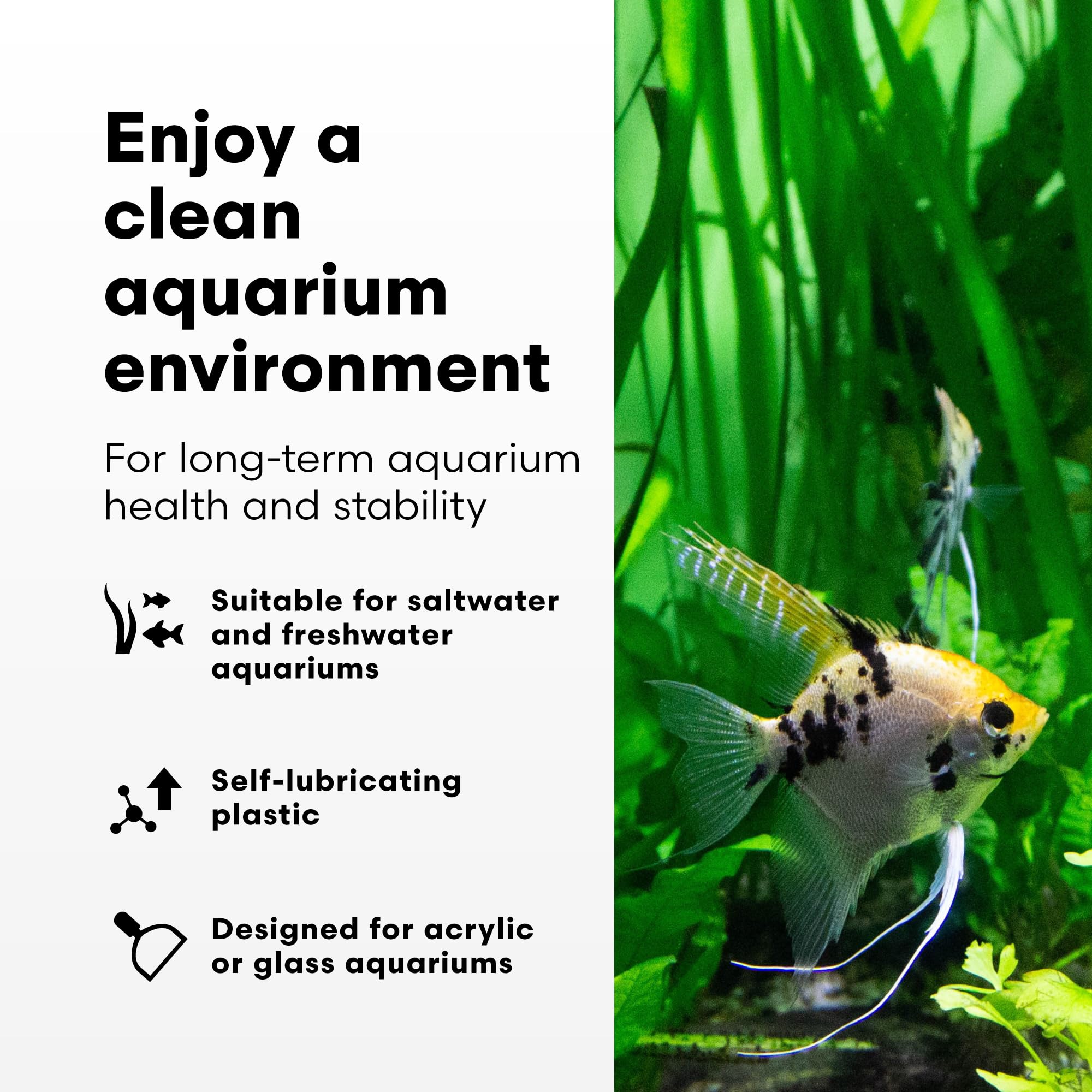 Continuum Aquatics profil du grattoir mettant en valeur la poignée et solidité