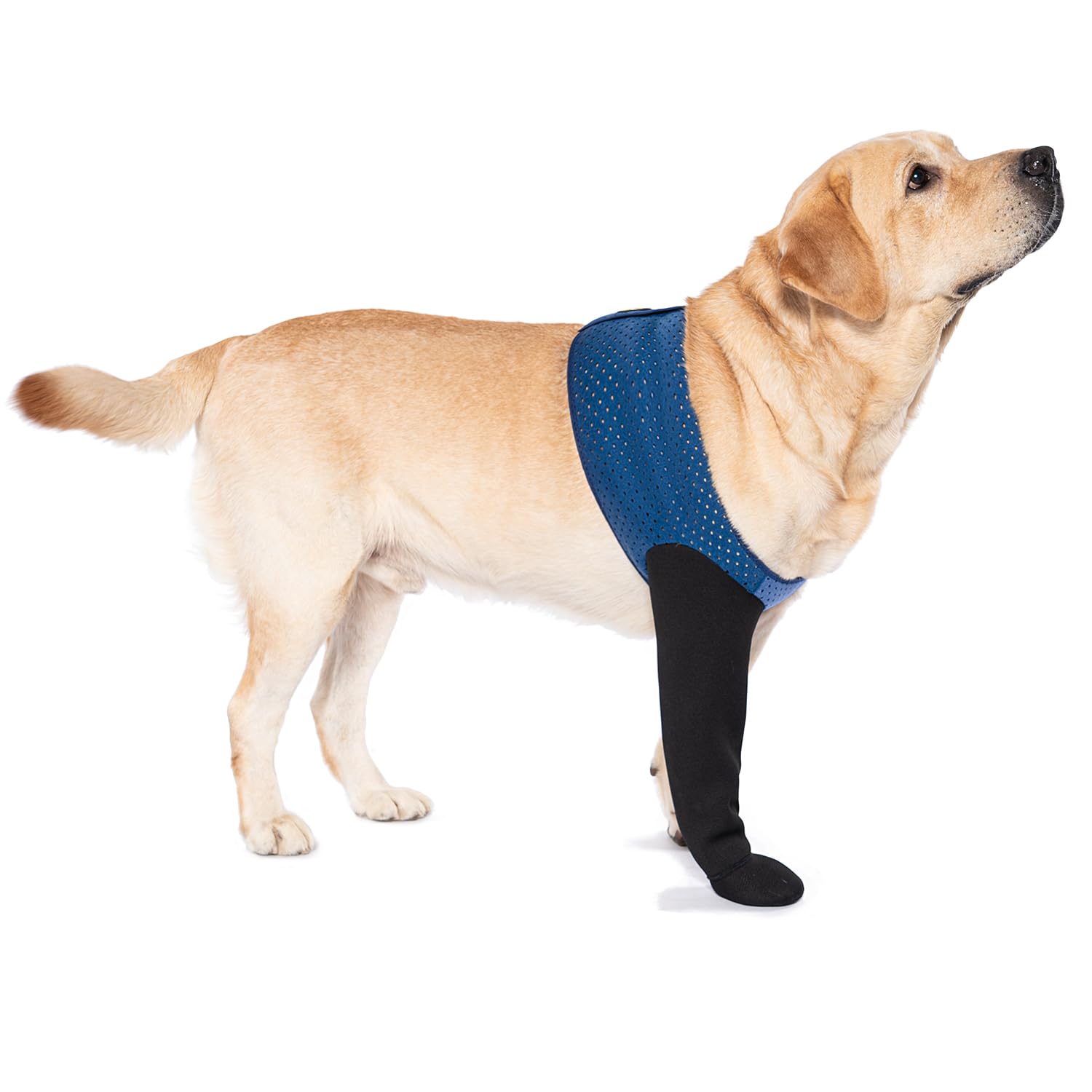COODEO chaussette devant emballage montrant protection pratique