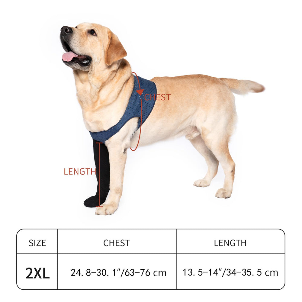 COODEO comparaison taille 2XL sur patte illustrant ajustement