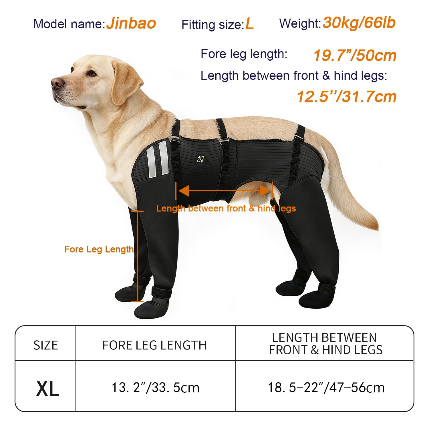 COODEO taille XL montrée sur patte pour bien évaluer l’échelle