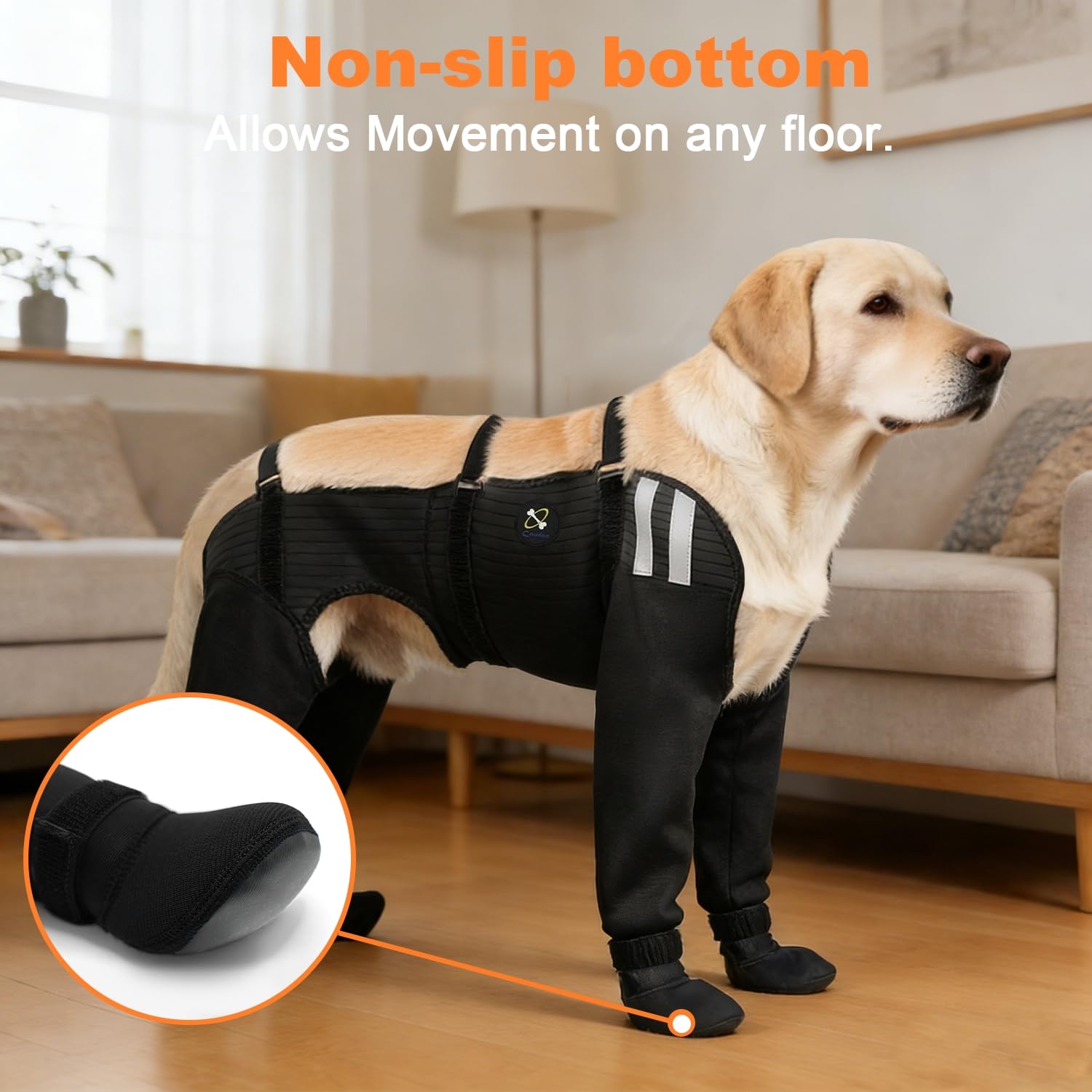 COODEO ensemble pour quatre pattes prêt à l’usage pour promenades