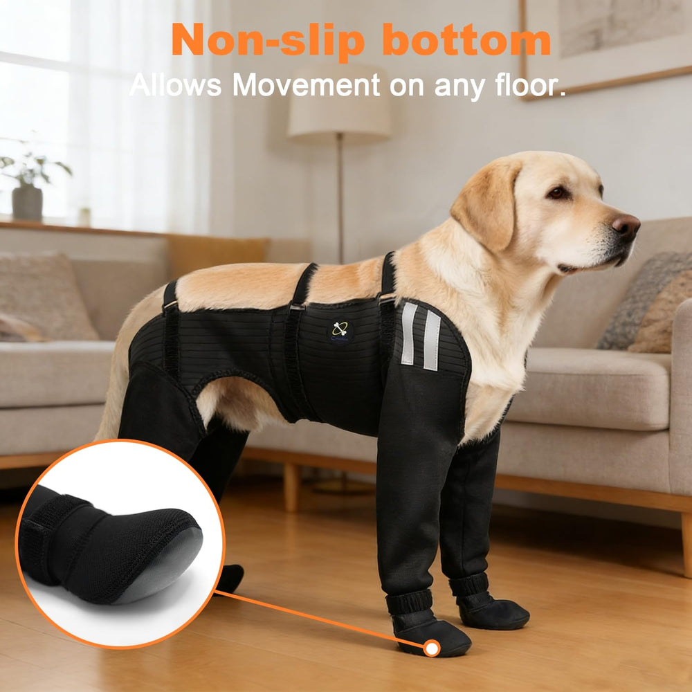COODEO ensemble pour quatre pattes prêt à l’usage pour promenades