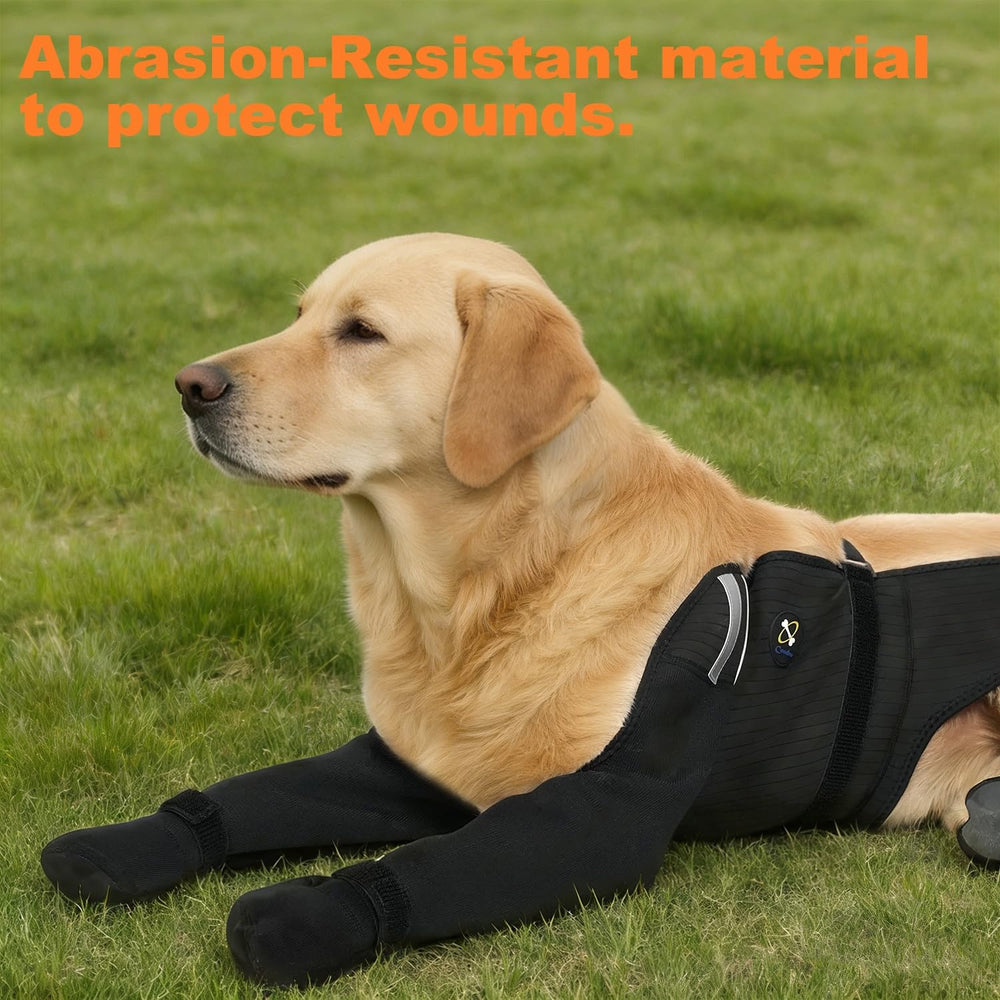 COODEO chaussettes lavables faciles à nettoyer et à réutiliser