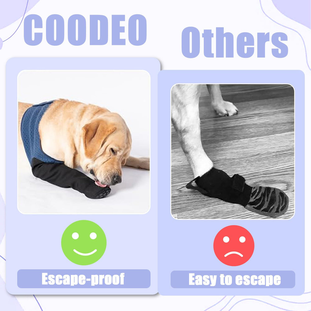 Coodeo lifestyle intérieur, chien reposant confortablement avec botte protectrice