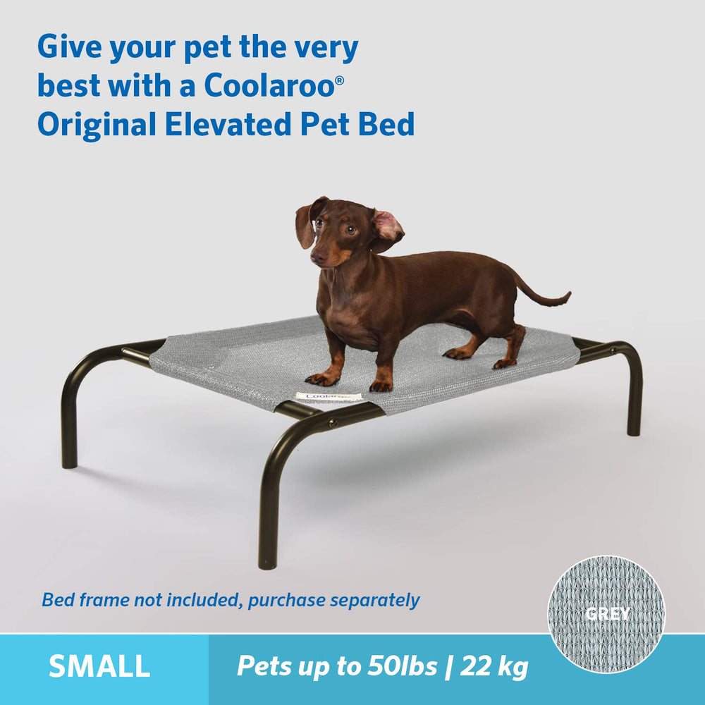 Coolaroo comparaison taille avec petit chien illustrant adéquation pour animaux petits
