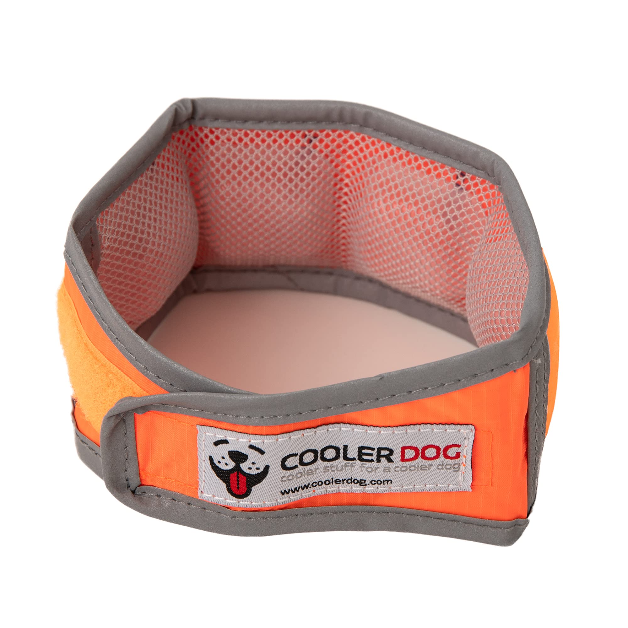 CoolerDog collier porté par petit chien offrant confort et refroidissement ciblé